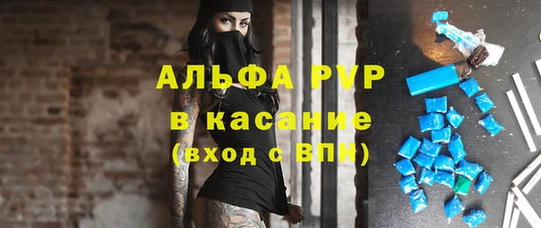 дживик Богородск