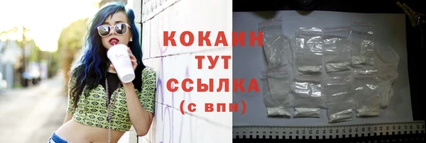 дживик Богородск