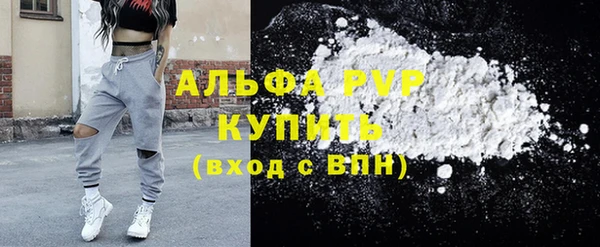 дживик Богородск