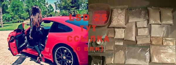 дживик Богородск