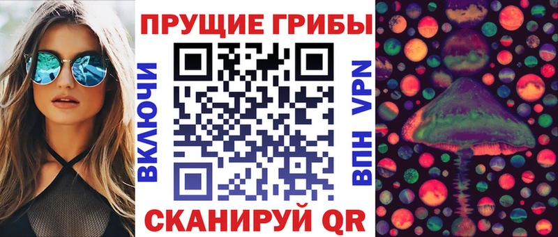 Галлюциногенные грибы Psilocybe  Ейск 
